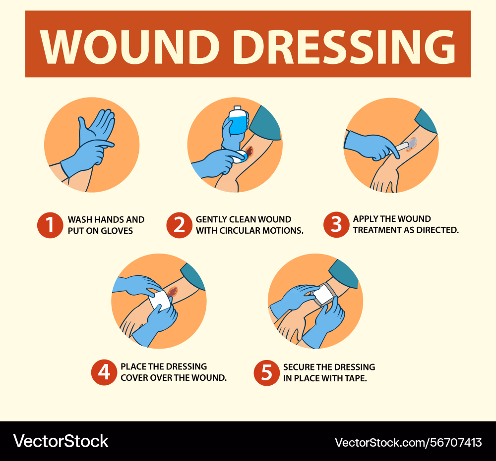 wound dressing procedure guide vector 56707413